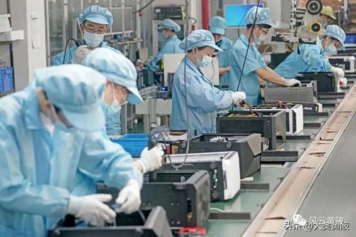 逆勢上揚 黃陂傳統行業轉型，軟件開發助力企業躍居全球第一